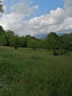 Гәбәлә, участок земли , продажа , 6 сот 