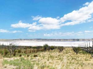 Абшерон, участок земли , продажа , 48.2 сот , Сарај