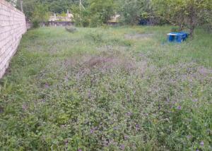 Губа, участок земли , продажа , 5 сот 