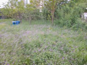 Губа, участок земли , продажа , 5 сот 