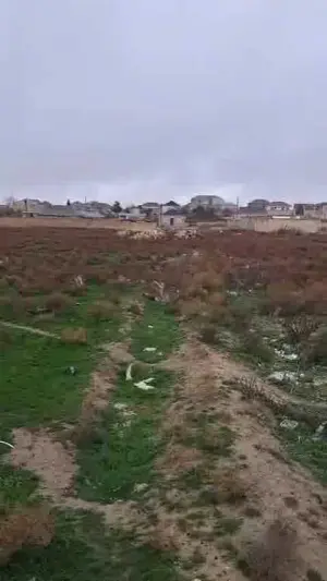 Абшерон, участок земли , продажа , 11 сот , Сарај