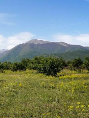 Гәбәлә, участок земли , продажа , 6 сот 