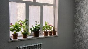 Абшерон, новостройка 1 комната, продажа, 52 м²  , Масазыр