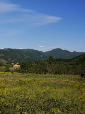 Гәбәлә, участок земли , продажа , 6 сот 