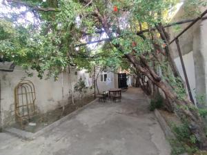 Бакы, садовый домик 4 комната, продажа, 82 м² , 4.7 сот , Бинәгәди рајону, Рәсулзадә гәс.