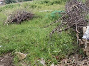 Ләнкәран, участок земли , продажа , 6 сот 