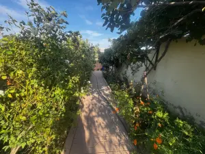 Бакы, садовый домик 4 комната, арендовать, 120 м² , 5 сот , Бинәгәди рајону, Хоҹәсән гәс.