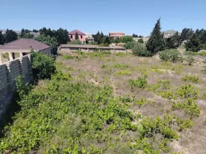 Абшерон, участок земли , продажа , 5 сот , Фатмајы