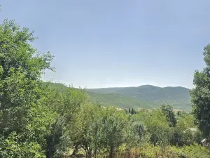 Шамахы, участок земли , продажа , 42.1 сот 