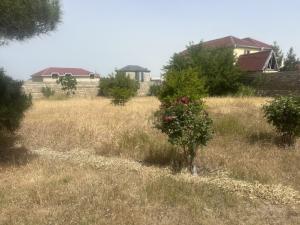 Бакы, участок земли , продажа , 13 сот , Сабунчу рајону, Албалы гәс.