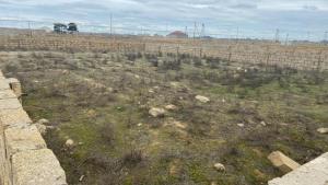 Бакы, участок земли 1 комната, продажа , 4 сот , Хәзәр рајону, Бузовна