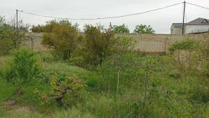 Сумгајыт, участок земли , продажа , 10 сот , Котеҹ гәс.