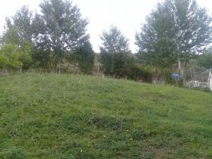 Исмајыллы, участок земли , продажа , 12 сот 