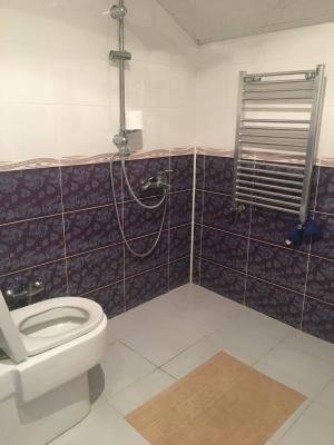 Бакы, садовый домик 4 комната, арендовать, 160 м² , 2 сот , Сәбаил рајону, 20-ҹи саһә