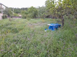 Губа, участок земли , продажа , 5 сот 