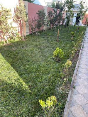 Бакы, садовый домик 6 комната, продажа, 270 м² , 4 сот , Хәзәр рајону, Шаған