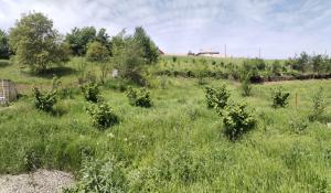 Гусар, садовый домик 5 комната, продажа, 150 м² , 8 сот 