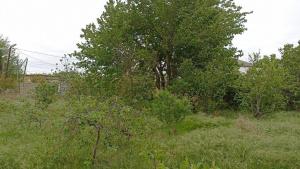 Сумгајыт, участок земли , продажа , 10 сот , Котеҹ гәс.