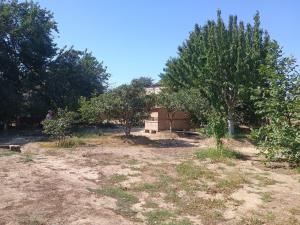 Бакы, участок земли , продажа , 20 сот , Сабунчу рајону