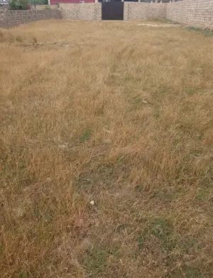 Бакы, участок земли , продажа , 9 сот , Сабунчу рајону, Пиршағы гәс.