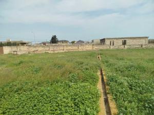 Бакы, участок земли , продажа , 20 сот , Сабунчу рајону, Билҝәһ гәс.