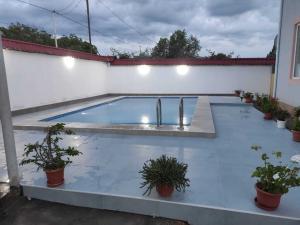 Гәбәлә, садовый домик 7 комната, посуточная аренда, 270 м² , 60 сот 