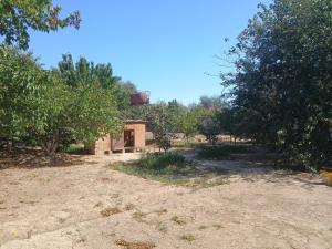 Бакы, участок земли , продажа , 20 сот , Сабунчу рајону