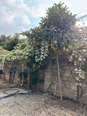 Абшерон, садовый домик 1 комната, арендовать, 100 м² , 3 сот , Меһдиабад