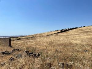 Абшерон, участок земли , продажа , 20 сот , Новханы