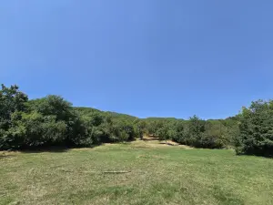 Шамахы, участок земли , продажа , 42.1 сот 