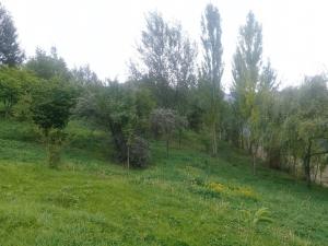 Исмајыллы, участок земли , продажа , 12 сот 