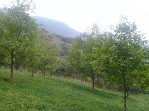 Исмајыллы, участок земли , продажа , 12 сот 