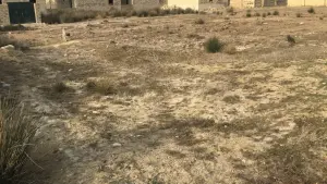 Абшерон, участок земли , продажа , 10 сот , Сарај