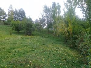 Исмајыллы, участок земли , продажа , 12 сот 