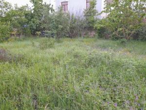 Губа, участок земли , продажа , 5 сот 