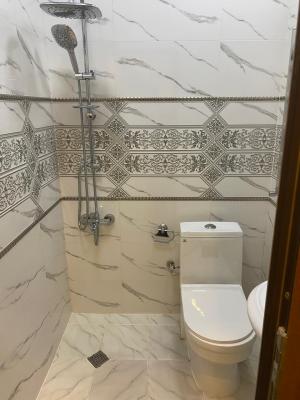 Абшерон, новостройка 2 комната, продажа, 56.2 м²  , Масазыр