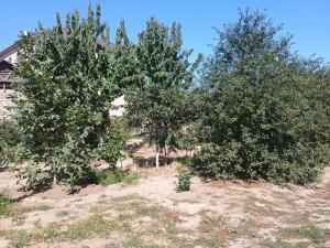 Бакы, участок земли , продажа , 20 сот , Сабунчу рајону