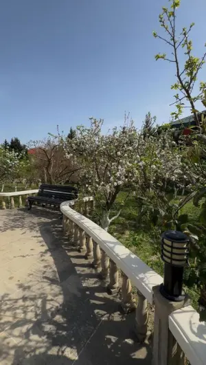 Бакы, садовый домик 6 комната, продажа, 400 м² , 36 сот , Сәбаил рајону, Бадамдар гәс.