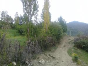 Исмајыллы, участок земли , продажа , 12 сот 