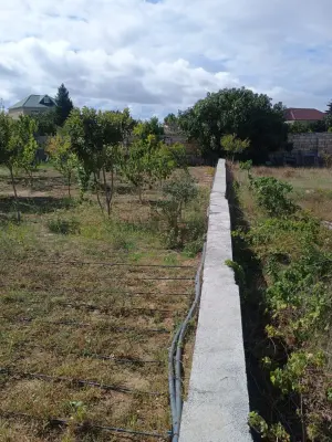 Бакы, участок земли , продажа , 12.7 сот , Сабунчу рајону, Албалы гәс.