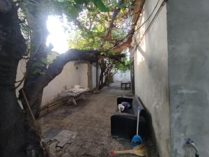 Бакы, садовый домик 4 комната, продажа, 82 м² , 4.7 сот , Бинәгәди рајону, Рәсулзадә гәс.