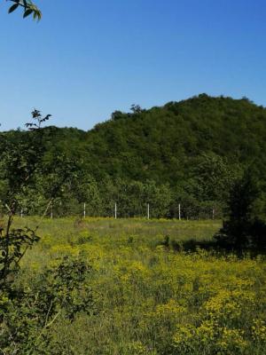 Гәбәлә, участок земли , продажа , 6 сот 