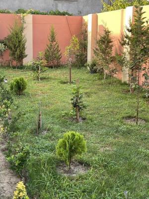 Бакы, садовый домик 6 комната, продажа, 270 м² , 4 сот , Хәзәр рајону, Шаған