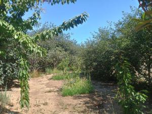 Бакы, участок земли , продажа , 20 сот , Сабунчу рајону