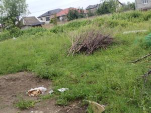 Ләнкәран, участок земли , продажа , 6 сот 