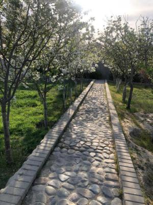 Бакы, садовый домик 6 комната, продажа, 600 м² , 22 сот , Сәбаил рајону