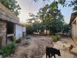 Бакы, участок земли , продажа , 6 сот , Бинәгәди рајону, Рәсулзадә гәс.