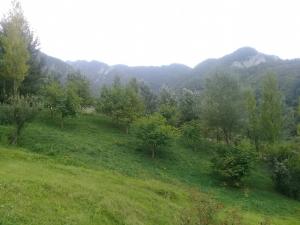 Исмајыллы, участок земли , продажа , 12 сот 