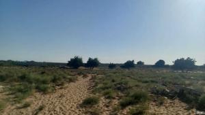 Бакы, участок земли 1 комната, продажа , 88 сот , Сабунчу рајону, Билҝәһ гәс.