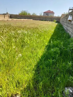 Абшерон, участок земли , продажа , 5 сот , Фатмајы